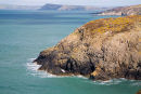 Pen Dinas